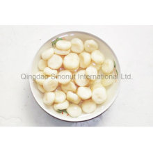 Canned Chinese Chestnut of Fresh